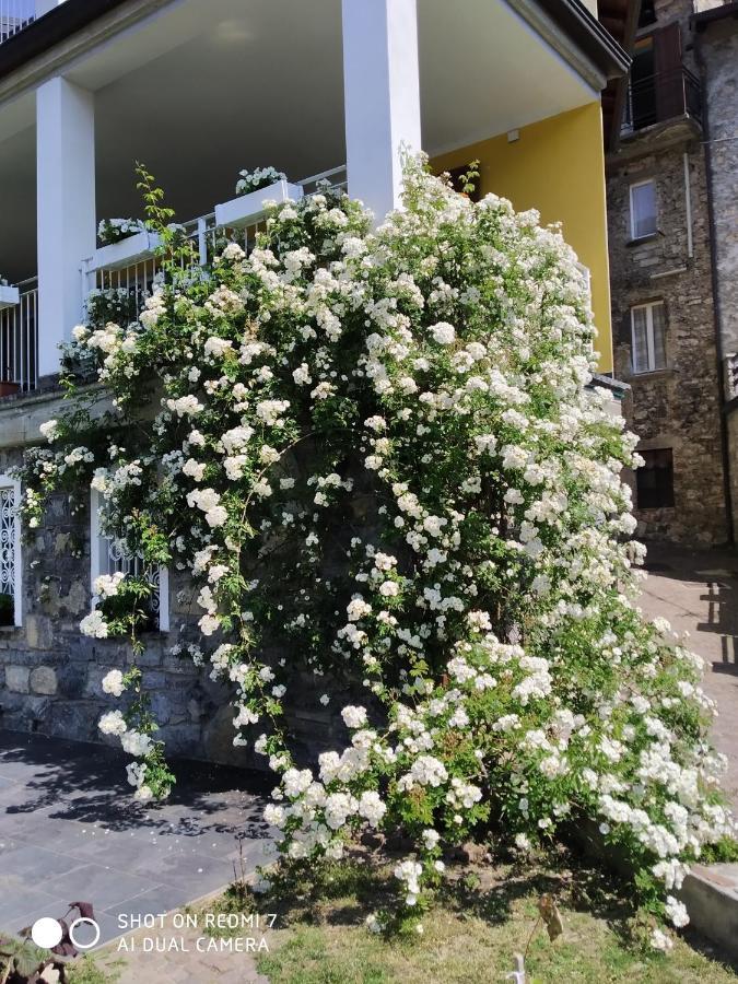Bed and Breakfast Il Giardino Di Cres Esino Lario Exterior foto